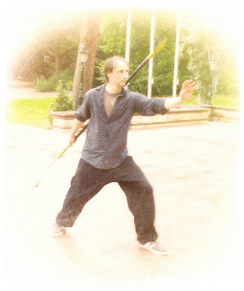 Image Figur aus der Chen Taiji Guan Dao Form